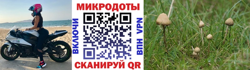 Псилоцибиновые грибы Magic Shrooms  Усолье-Сибирское 
