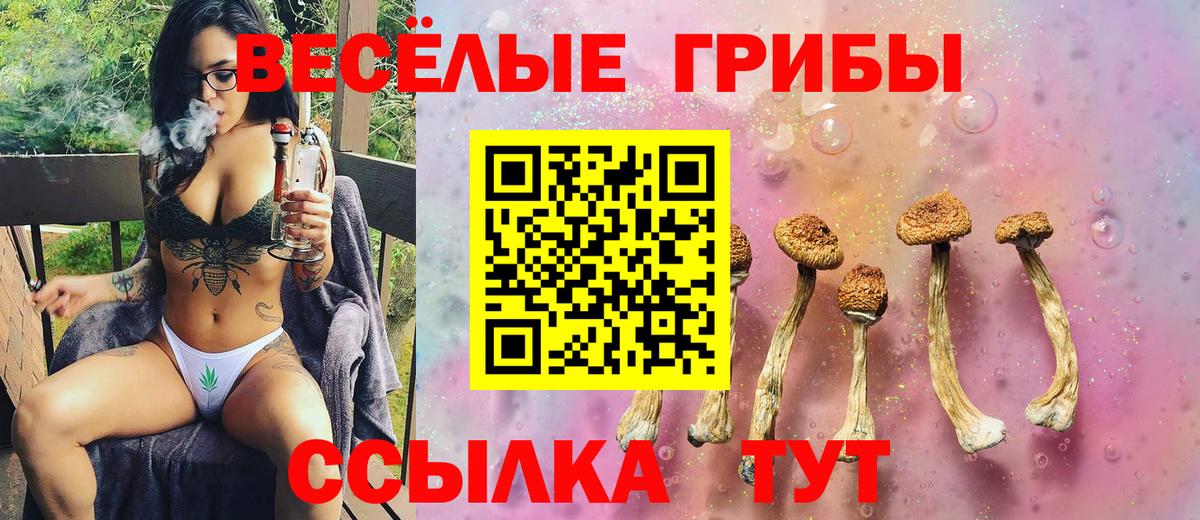 Усолье-Сибирское  Псилоцибиновые грибы ЛСД  Вход с VPN 