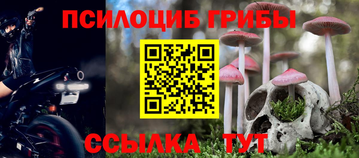 Псилоцибиновые грибы Cubensis Усолье-Сибирское