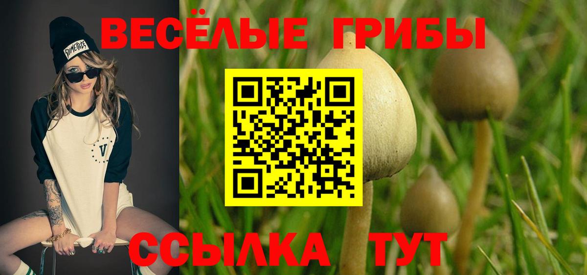 Псилоцибиновые грибы прущие грибы Усолье-Сибирское